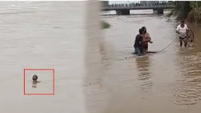 Screenshot from 2025-10-29 18-06-51