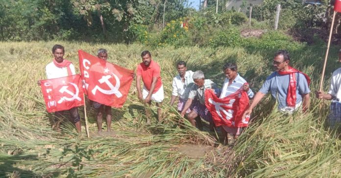 The crops that have been harvested are in a state of drought.. Farmers are in a state of confusion: CPI(M) The crops that have been harvested are in a state of drought.. Farmers are in a state of confusion: CPI(M)