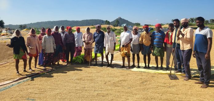 The grain should be weighed immediately... The grain should be weighed immediately...