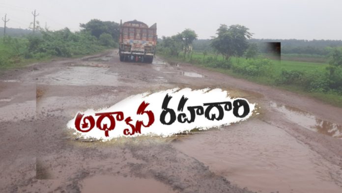 There are cows at every step on the Tadicherla-Nagulamma road..