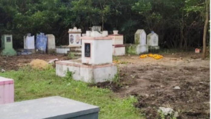 Thorny trees in the cemetery.. Solution with Pandana's initiative