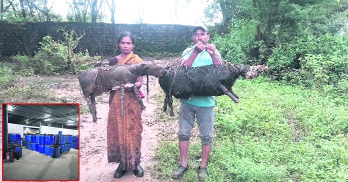 మొన్న కాలుష్యజలాల విడుదల..నేడు కెమికల్ డ్రమ్ముల అక్రమ నిల్వ