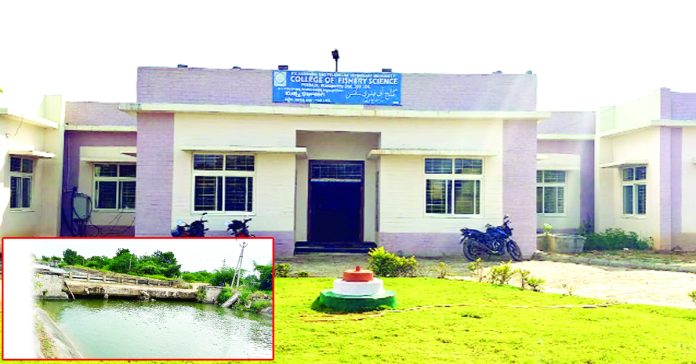 Fisheries College in a 'ring' of problems