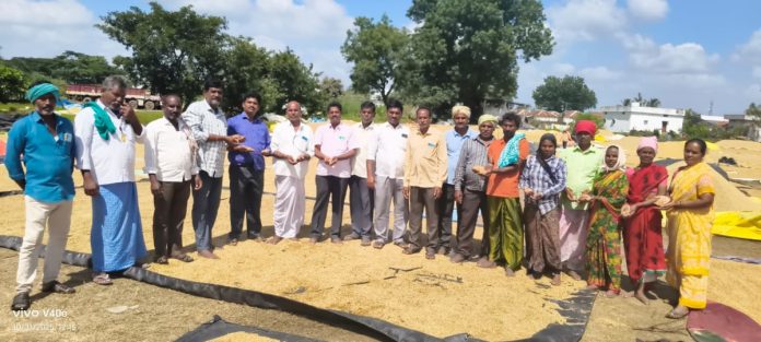 Wet and blackened grains should be purchased. Wet and blackened grains should be purchased.