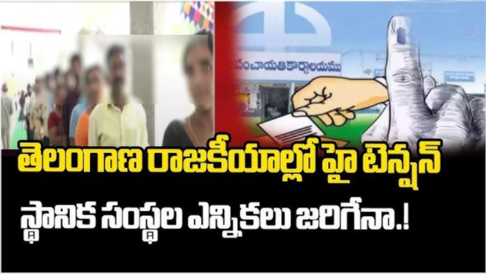 Will local body elections be held?