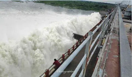 musi-nlg_V_jpg--442x260-4g