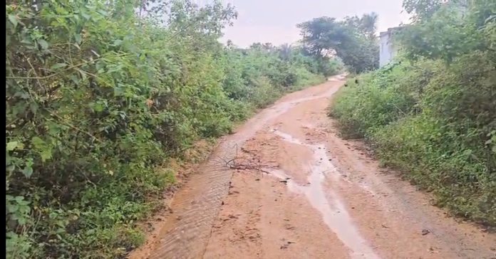 Mission Bhagiratha pipeline leakage.. Drinking water going to waste..