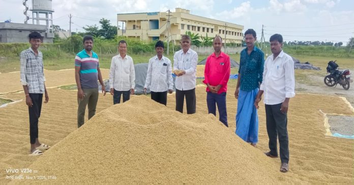 1002658102 Wet and sprouted rice should be purchased.