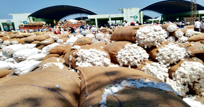 పత్తి రైతు కన్నీళ్లు తుడిచేదెవరు?