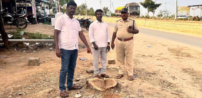 పట్టపగలు భారీ వృక్షం మాయం