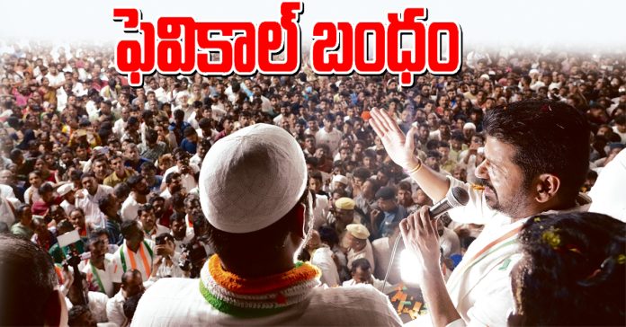 fevical relationship