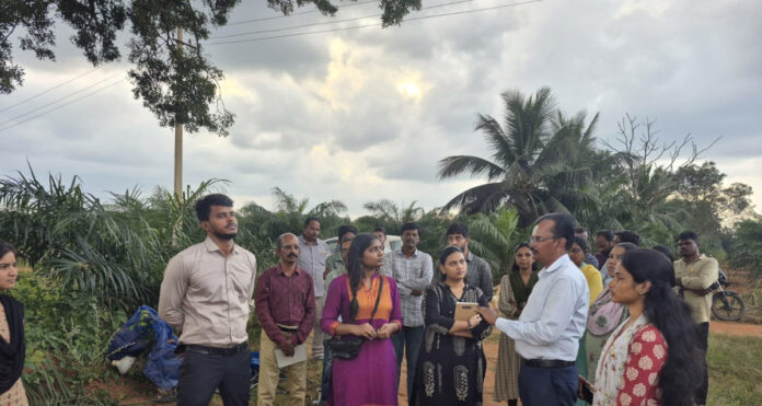 Climate-friendly crops are good for farmers