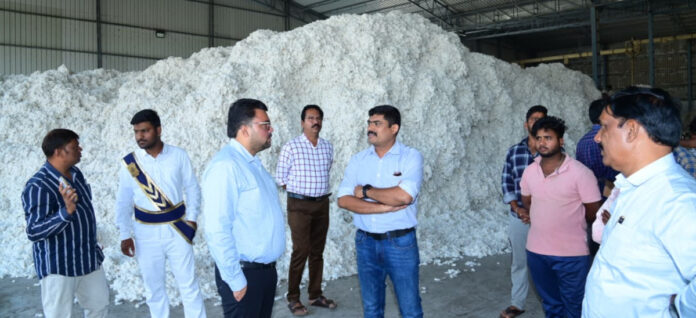 Collector inspects cotton purchasing centers