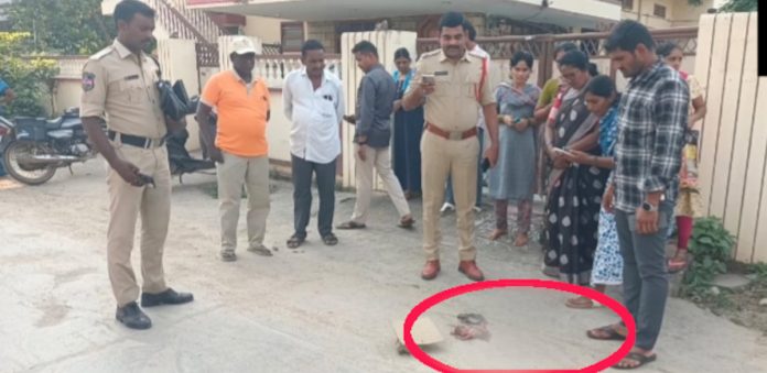 మిర్యాలగూడలో కలకలం.. కుక్క నోట్లో పసికందు మృతదేహం