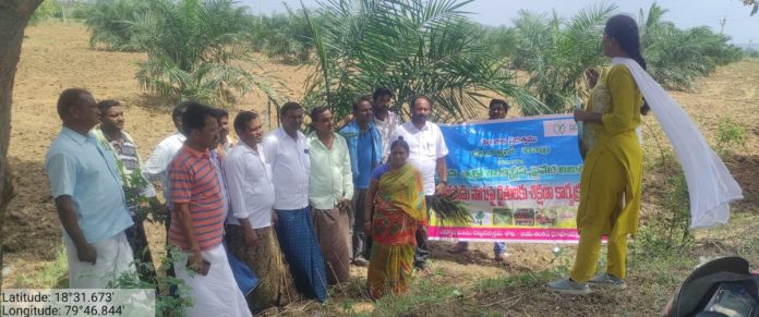 Cooperation with the oil farm..