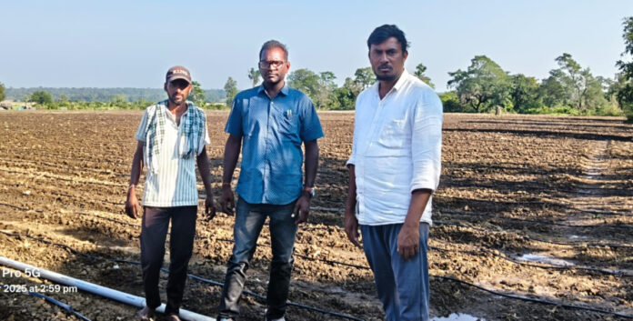 అగ్రిమెంట్ లేకుండా విత్తనోత్పత్తి మొక్కజొన్న వేసుకోవద్దు