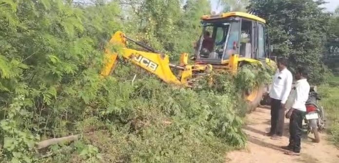 సొంత ఖర్చులతో చెట్లను తొలగించిన మాజీ సర్పంచ్..