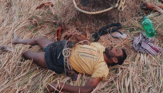 Geeta worker dies after accidentally falling from a palm tree