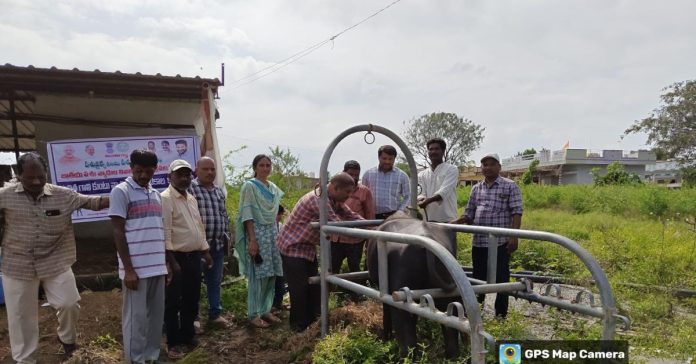 Farmers should pay attention to veterinary medicine