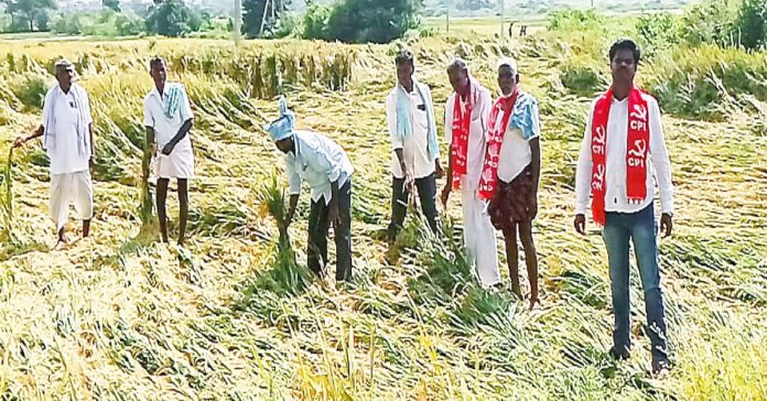 Rs. 50,000 per acre should be given for damaged crops