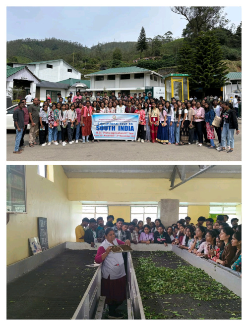 టీ మ్యూజియంను సందర్శించిన వ్యవసాయ విద్యార్ధులు