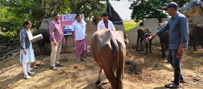 Livestock should be protected.