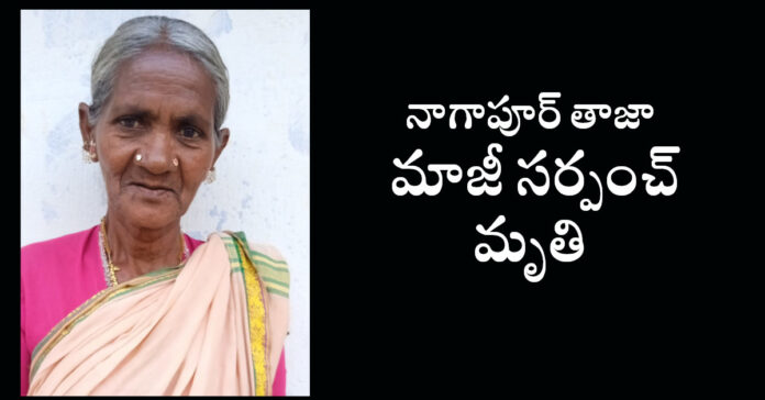 నాగాపూర్ తాజా మాజీ సర్పంచ్ మృతి