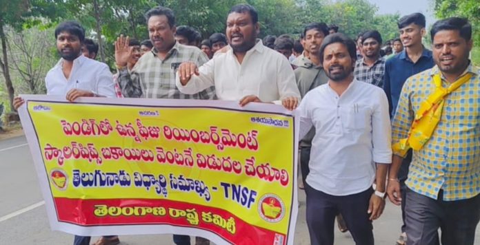 పెండింగ్ ఫీజు బకాయిలను చెల్లించాలని కలెక్టరేట్ ముందు నిరసన