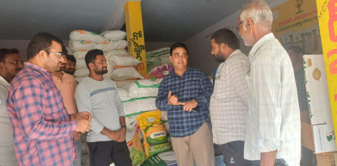 Quality seeds should be purchased.