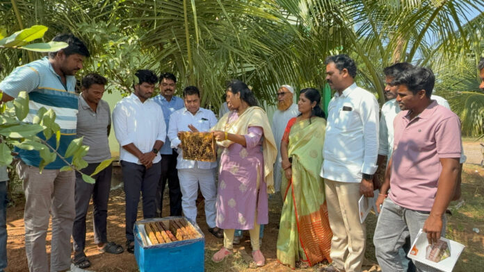శాస్త్రీయ పద్దతిలో తేనే తీగల పెంపకం ఉత్తమం