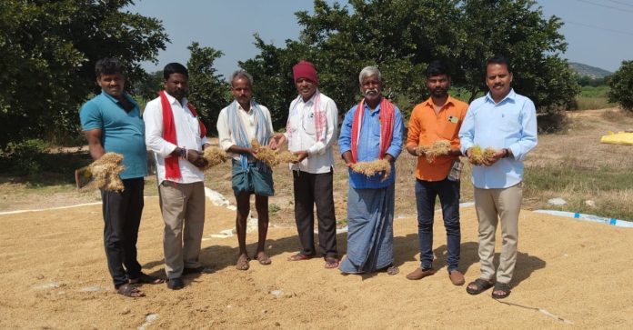 వరిధాన్యం కొనుగోలు ప్రారంభించాలి