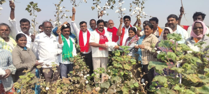 పత్తికి మద్దతు ధర ఇచ్చి, సిసిఐ కొనుగోలు కేంద్రాలను పెంచాలి