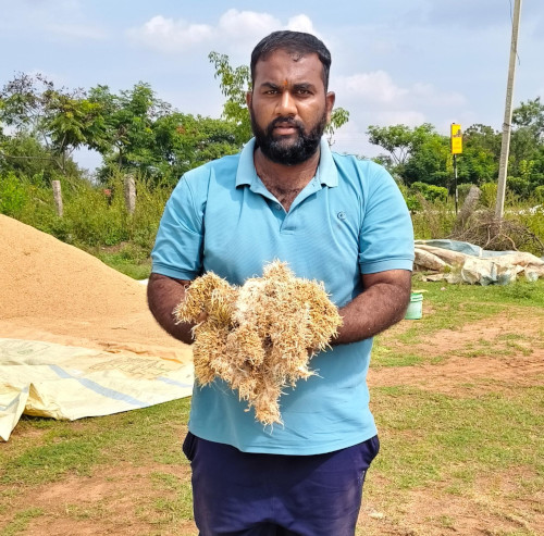 వర్షాల ఎఫెక్ట్.. మొలకలెత్తిన వరిధాన్యం