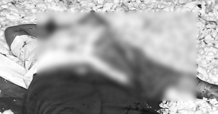 Untitled-15 copy murder