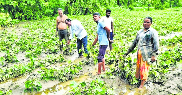 పేర్లు సరే..పరిహారమేది?