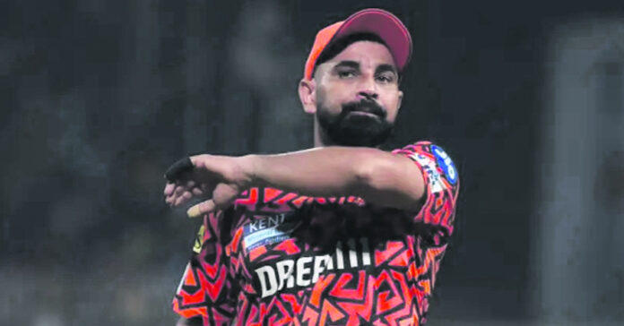Shami for the Supergiants