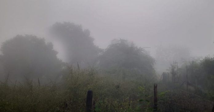 కమ్మేస్తున్న పొగమంచు.!