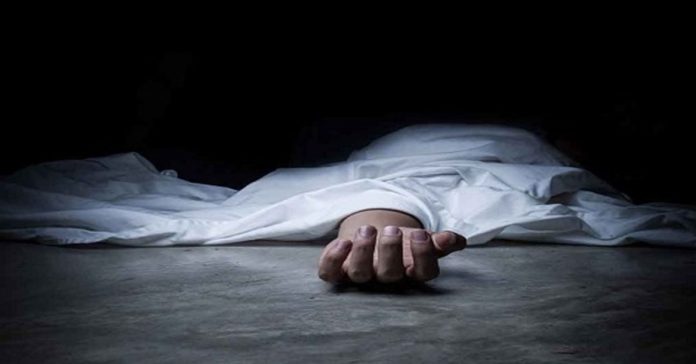 Couple dies after being hit by ambulance