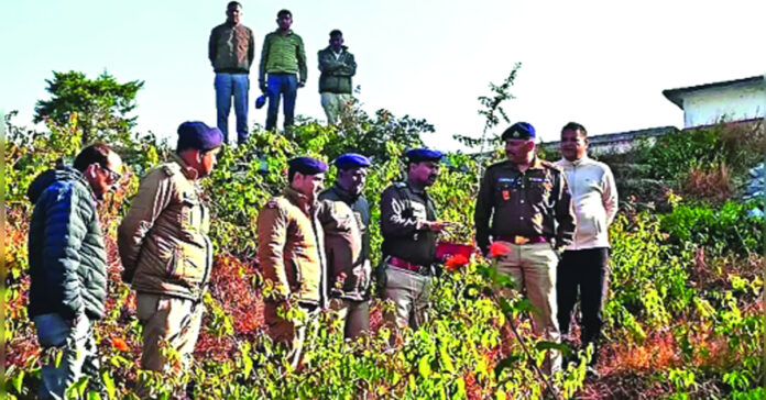 Gelatin sticks seized in Uttarakhand