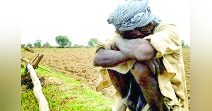 Who will protect the farmer who is loosening the yoke?