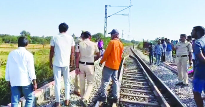 ఎక్స్ప్రెస్ రైలు ఢీకొని వంద గొర్రెలు మృత్యువాత