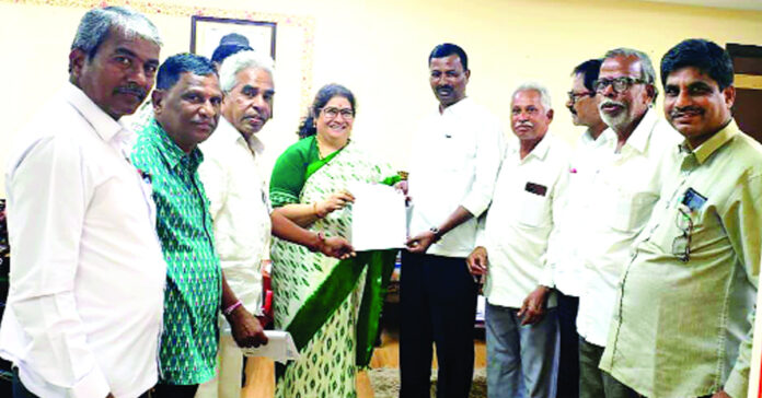 Steps should be taken for the development of handloom