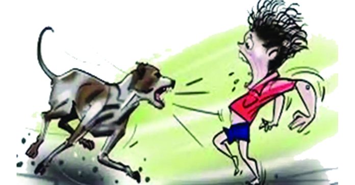 Supreme Court strikes down dog bite