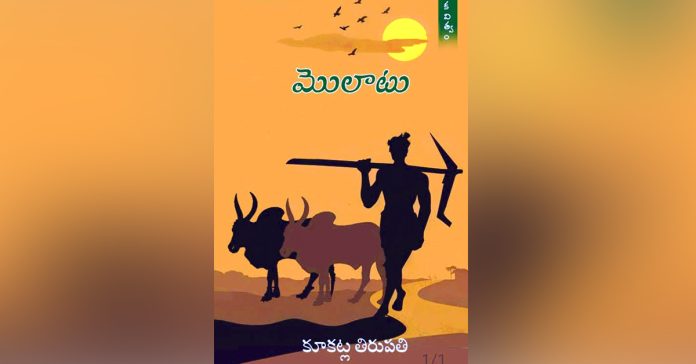 జాను తెనుగు జాలువారించిన ‘మొలాటు’