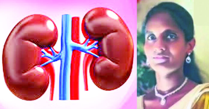 ‘యమున’ కిడ్నీ ఏమైనట్లు..?