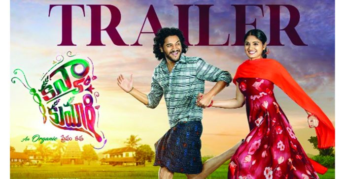 Colorful butterfly 'Kanyakumari'