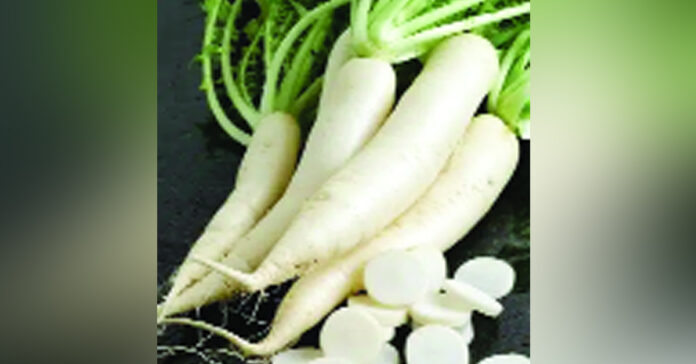 ముల్లంగితో ఆరోగ్య ప్రయోజనాలు