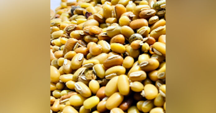 పోషకాల నిధి