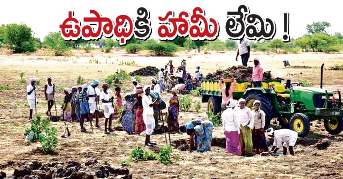 There is no guarantee of employment!