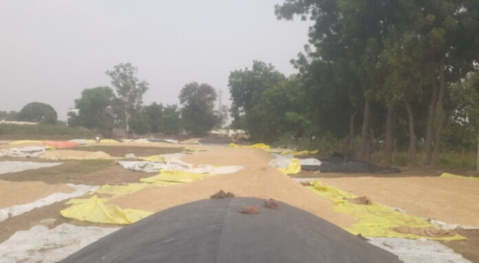 సబ్సిడీ టార్పాలిన్లు ఏవి.?